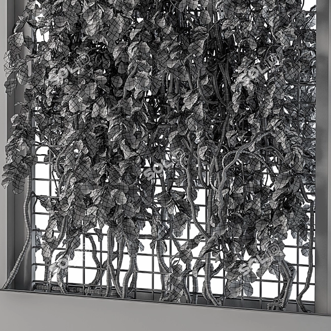 Elegant Gray Ivy Box Plants 3D model image 4
