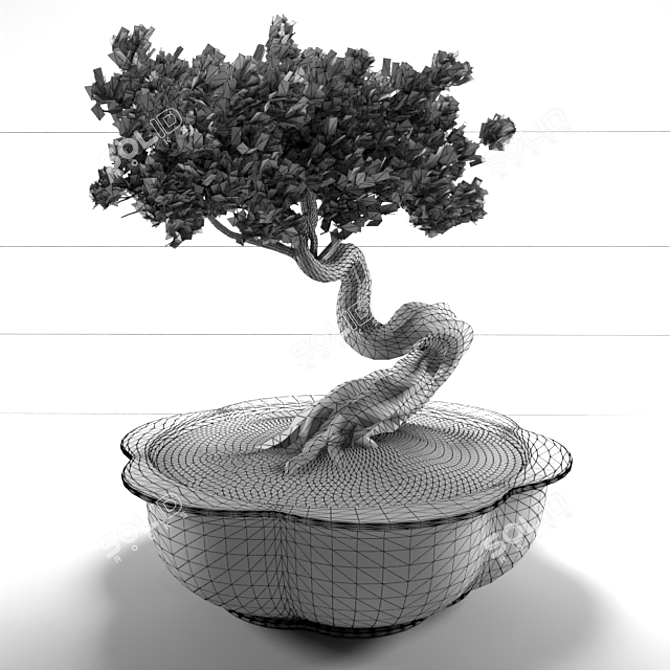 Miniature Bonsai Tree for Elegant Décor 3D model image 3