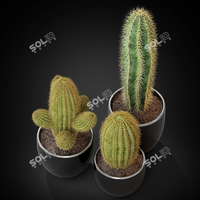 Versatile Plants Collection: 258 Varieties 3D model image 2