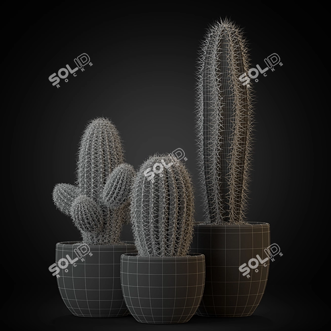 Versatile Plants Collection: 258 Varieties 3D model image 3