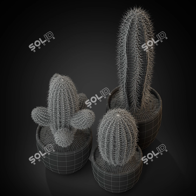 Versatile Plants Collection: 258 Varieties 3D model image 4