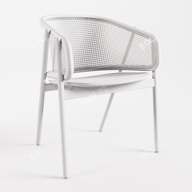 Elegant Rattan Armchair: Cane Collection 3D model image 5