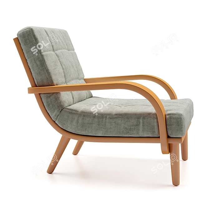 Refinished Mid Century Lounge Chair 3D model image 5