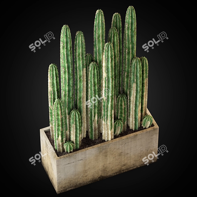 Lush Greenery Assortment 3D model image 2