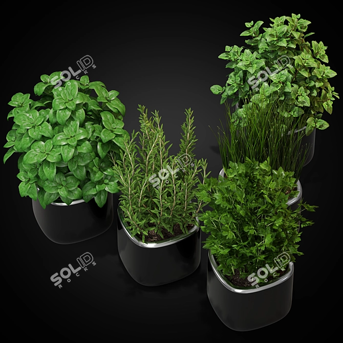 Green Oasis: 261 Exquisite Plants 3D model image 2