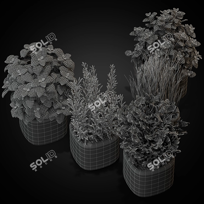 Green Oasis: 261 Exquisite Plants 3D model image 4