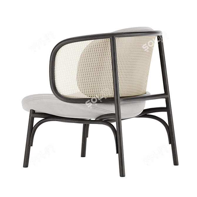 Elegant Thonet Vienna Armchair 3D model image 2