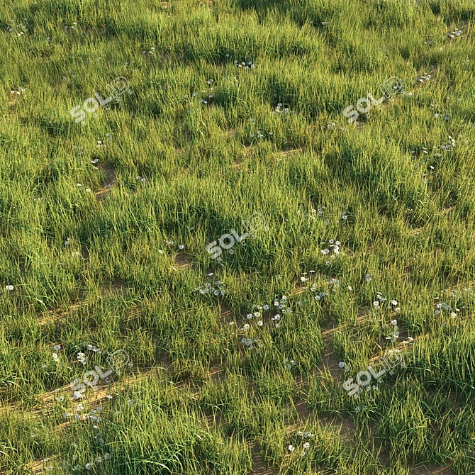 Wild Beauty: Uncut Grass Lawn 3D model image 2