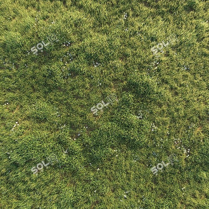 Wild Beauty: Uncut Grass Lawn 3D model image 3