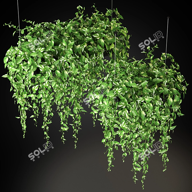 265 Plant Collection: Variety and Beauty 3D model image 2