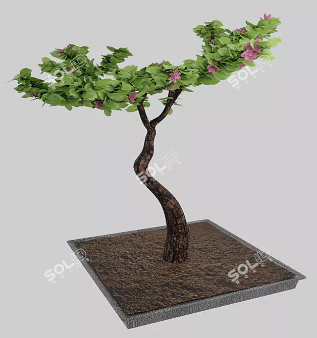Flowering Bonsai in Pot 3D model image 1