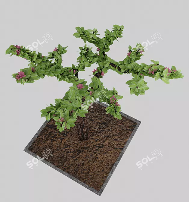 Flowering Bonsai in Pot 3D model image 4