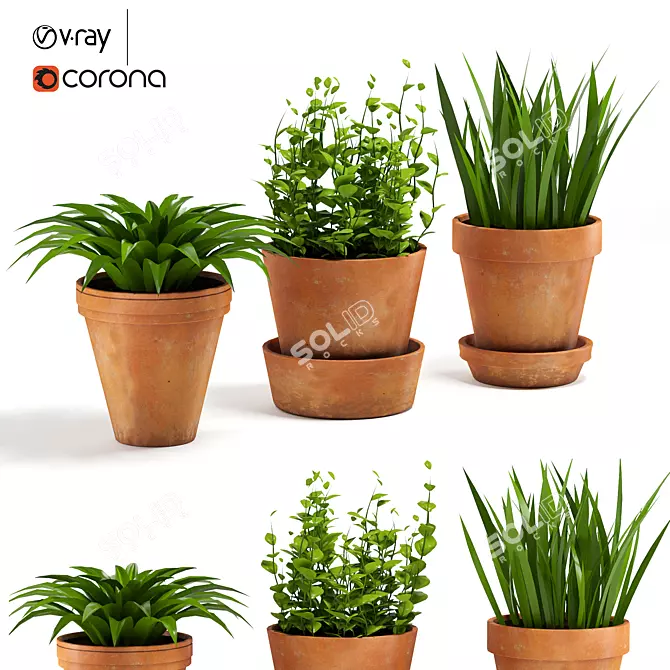 Beautiful Terracotta Pots for Exquisite Plants 3D model image 1