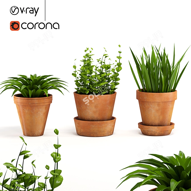 Beautiful Terracotta Pots for Exquisite Plants 3D model image 2