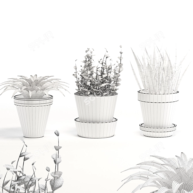 Beautiful Terracotta Pots for Exquisite Plants 3D model image 3