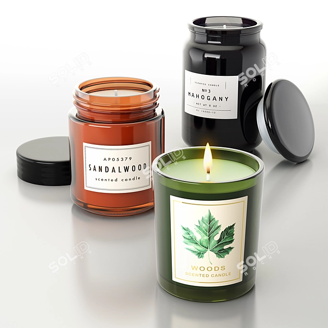 Aromatic Trio: Mahogany, Sandalwood, Woods 3D model image 1