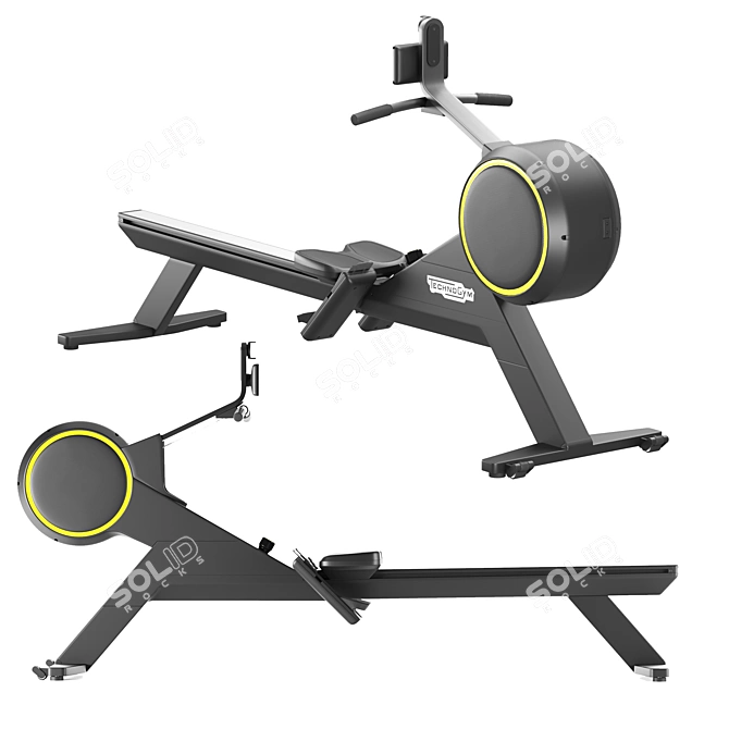 Ultimate Rowing Experience: Technogym SKILLROW 3D model image 1