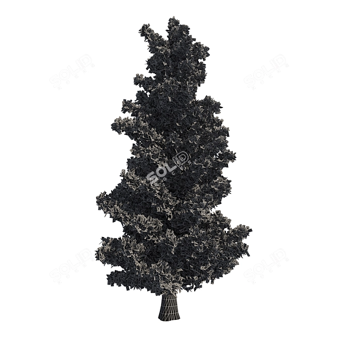  Majestic Pine Tree - 23ft Height 3D model image 3