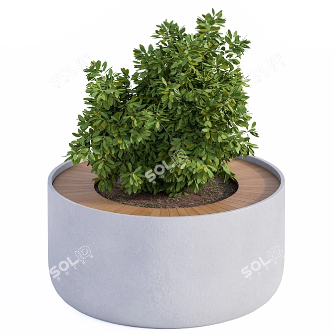 Concrete Round Planter with Plants 3D model image 3