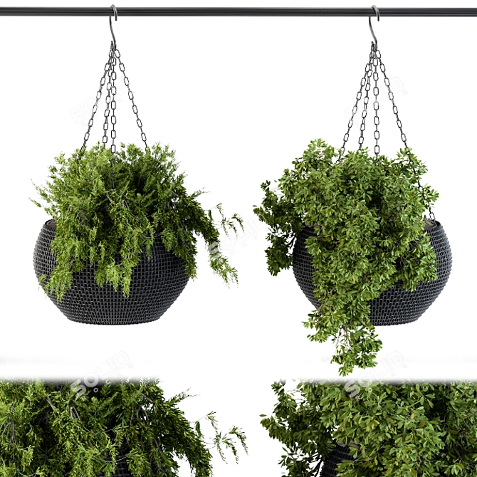 Black Pot Hanging Plant 3D model image 1