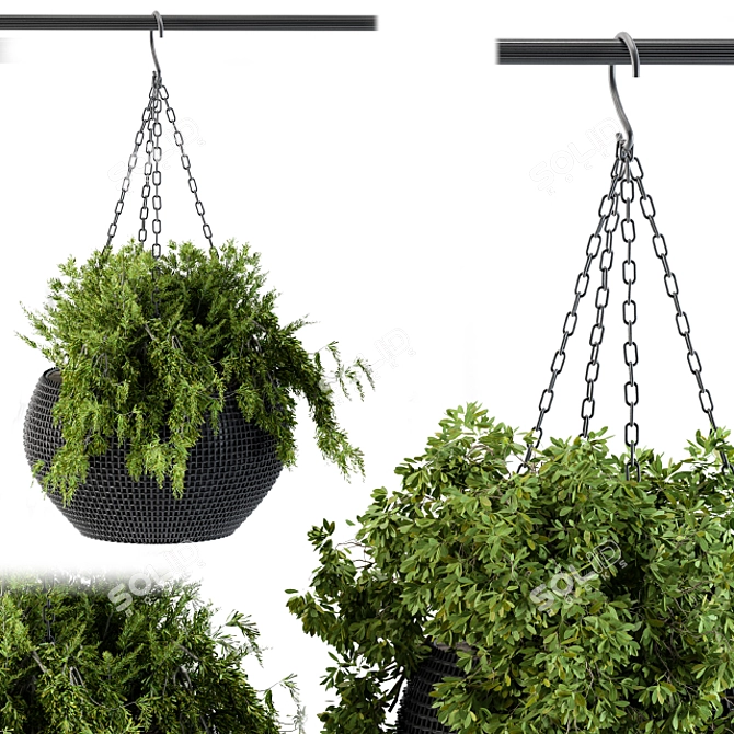 Black Pot Hanging Plant 3D model image 2