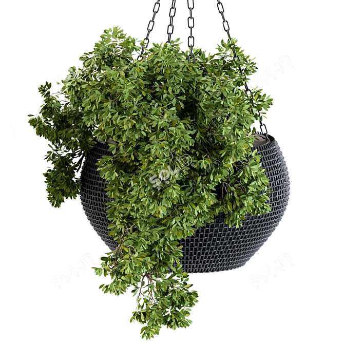 Black Pot Hanging Plant 3D model image 4