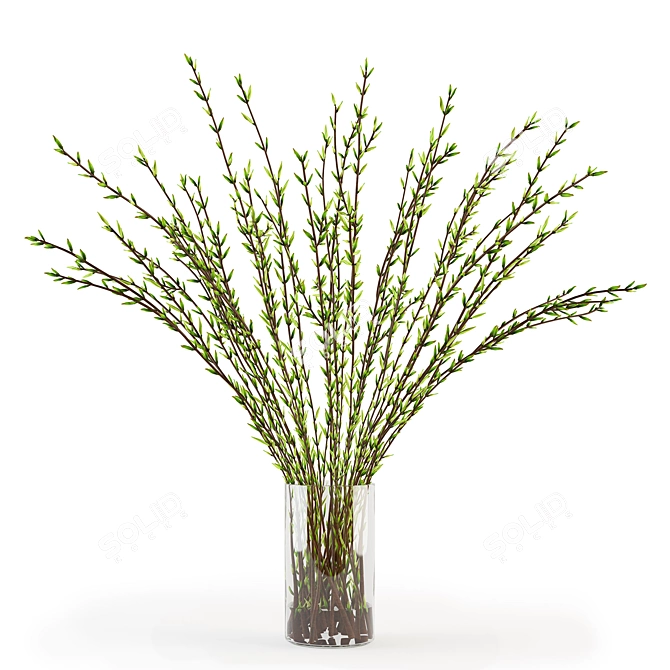 Natural Branches in Vase 3D model image 1