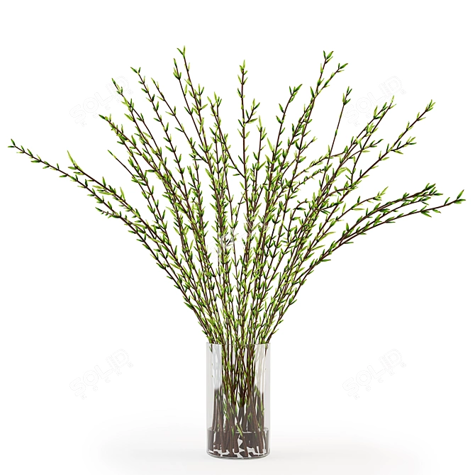 Natural Branches in Vase 3D model image 2