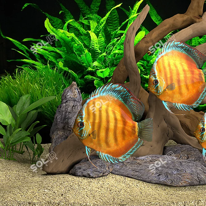 Title: Rustic Aquarium Bar 3D model image 3