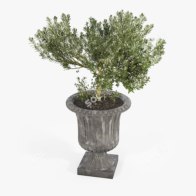 Vintage Metal Pot Planter 3D model image 3