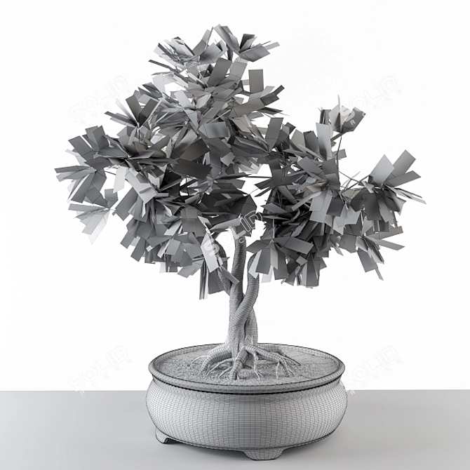 Mini Broadleaf Bonsai Tree Kit 3D model image 3