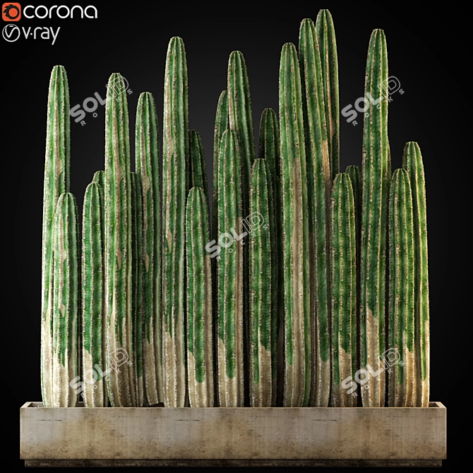 Exquisite Plants Collection 266 3D model image 1