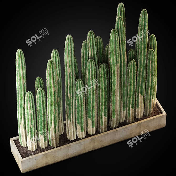 Exquisite Plants Collection 266 3D model image 2