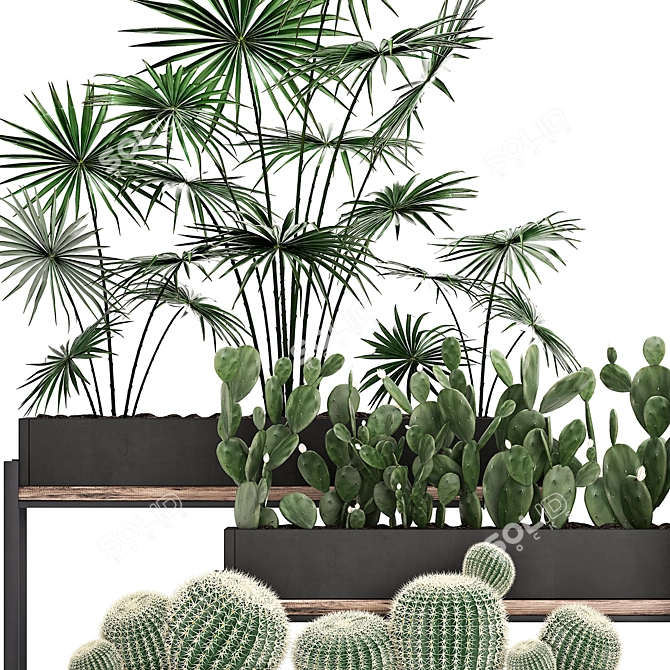 Exotic Houseplant Collection 3D model image 4