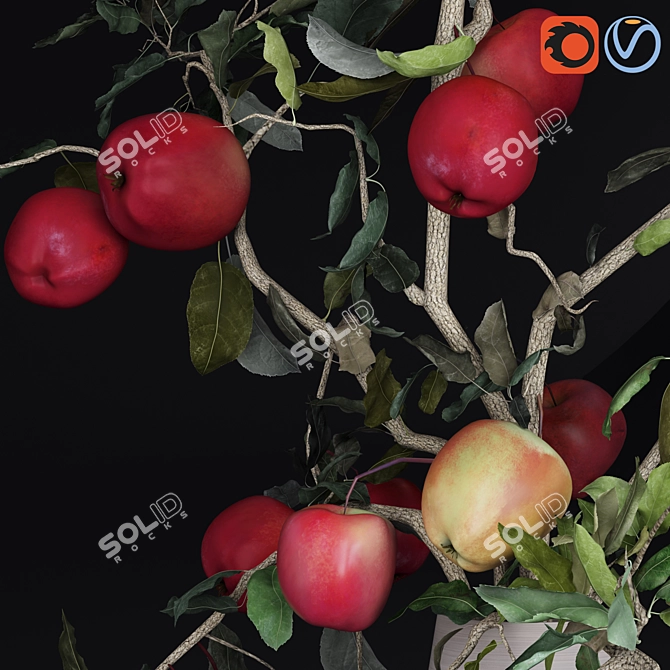 Red Cherry Tomato Apple Branches Vase 3D model image 4