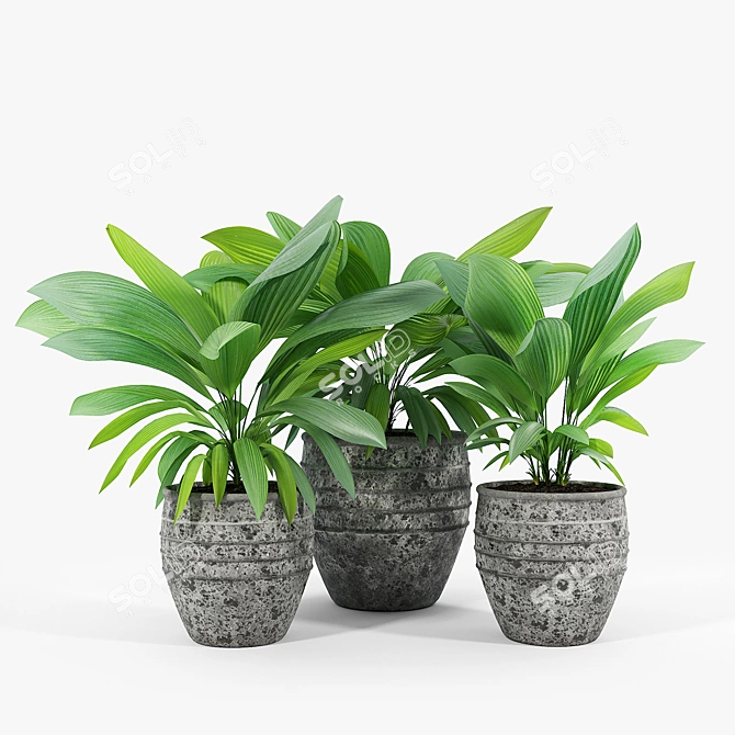 Sleek Modern Planter Set 3D model image 3