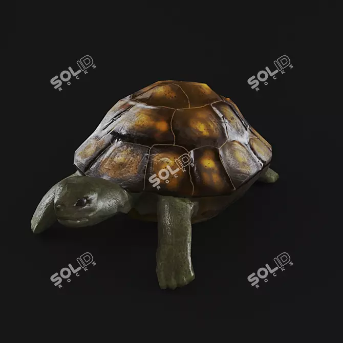 Title: Turtle 3D Model with UVW Mapping+Textures 3D model image 1