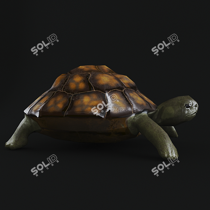 Title: Turtle 3D Model with UVW Mapping+Textures 3D model image 2