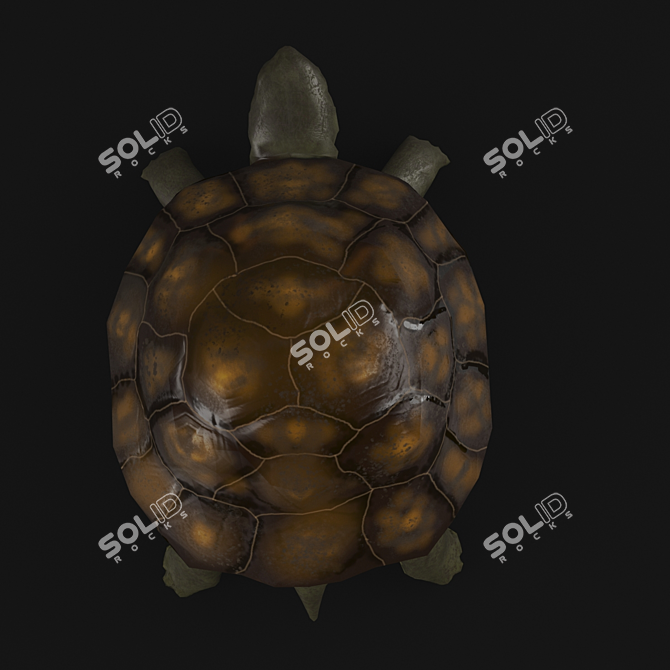 Title: Turtle 3D Model with UVW Mapping+Textures 3D model image 4