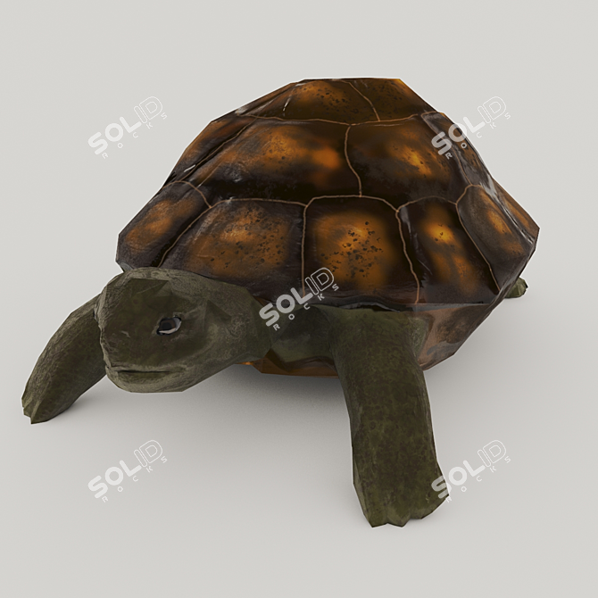 Title: Turtle 3D Model with UVW Mapping+Textures 3D model image 7