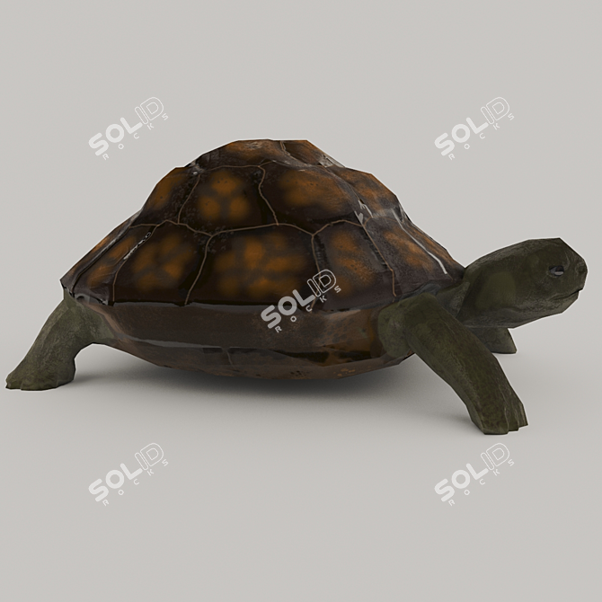 Title: Turtle 3D Model with UVW Mapping+Textures 3D model image 8