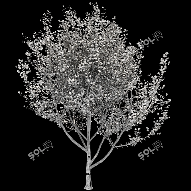 Tree 5-in-1 - 313K polys, 426K verts. Versatile and High-Quality Tree Model 3D model image 3