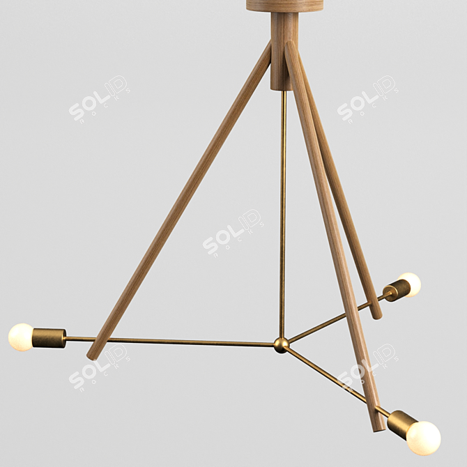 Rustic Lodge Chandelier: Vintage Charm meets Modern Elegance 3D model image 4