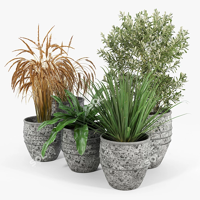 Modern Knisely Pot Planter Set 3D model image 2