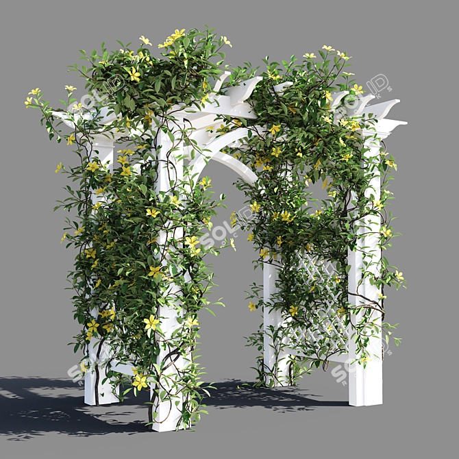 Hibbertia Scandens Metal Gate 3D model image 1