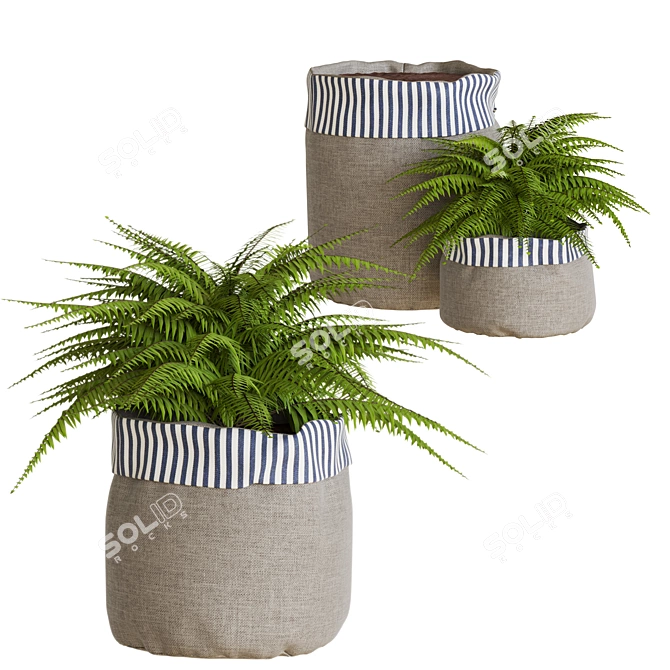 PBR-Optimized Fern for Corona 3D model image 1