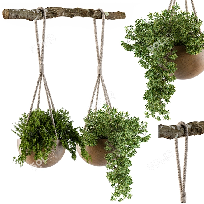 Rustic Hanging Pot with Rope 3D model image 1