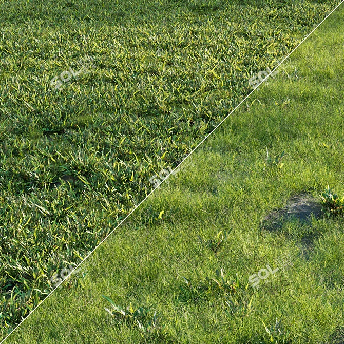 Lush Green Grass Set 3D model image 1