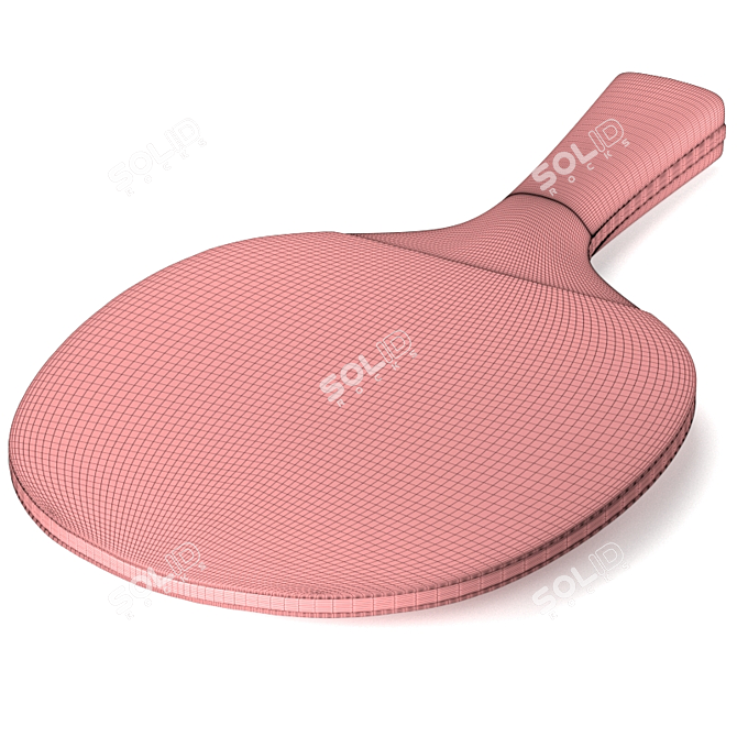 Pro Grip Table Tennis Racquet 3D model image 4
