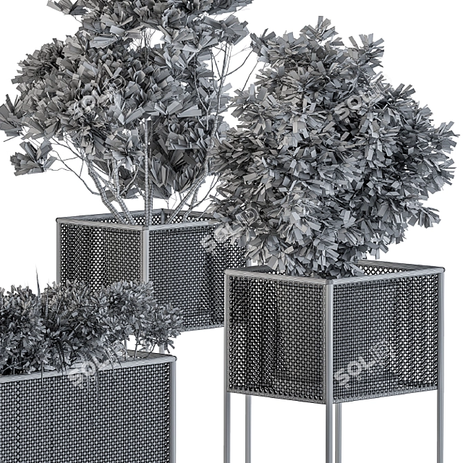 Metal Box Home Set: Stylish Plant Display 3D model image 5